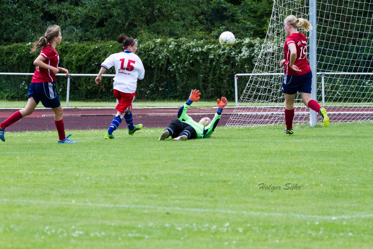 Bild 123 - B-Juniorinnen FFC Oldesloe - Hamburger SV : Ergebnis: 2:8